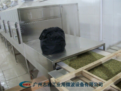  南瓜子仁干燥杀菌设备