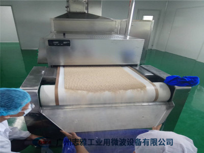 汤料微波杀虫设备