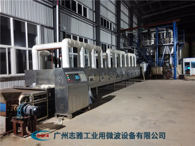 味精微波干燥设备