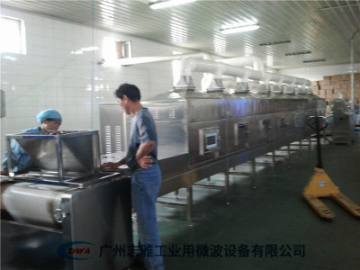 休闲食品干燥杀菌机