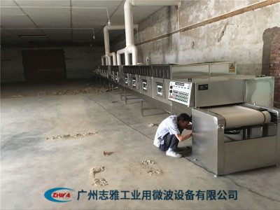 燕麦片干燥杀菌设备