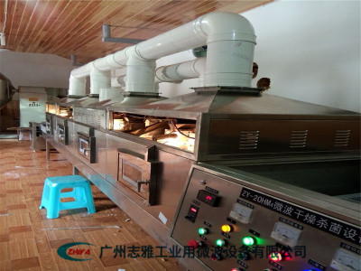 核桃仁微波烘烤機