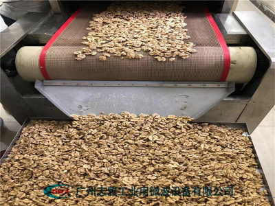  核桃微波烘烤設(shè)備