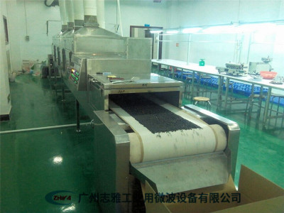 黑豆微波烘焙設(shè)備