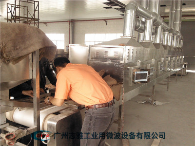 花生微波烘烤設(shè)備