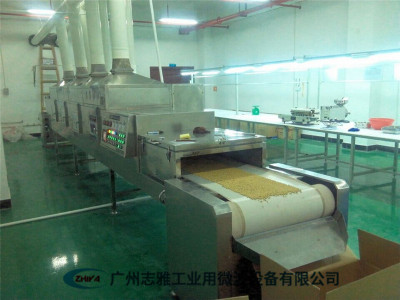 黃豆微波烘烤設(shè)備