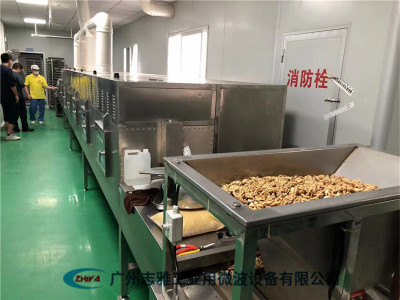 堅果微波烘烤設(shè)備