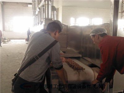 微波花生米烘焙設(shè)備