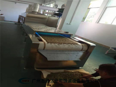 颗粒药微波干燥机