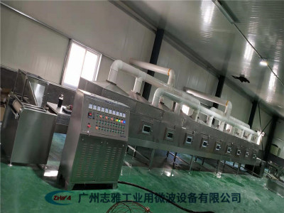 中药丸干燥杀菌设备