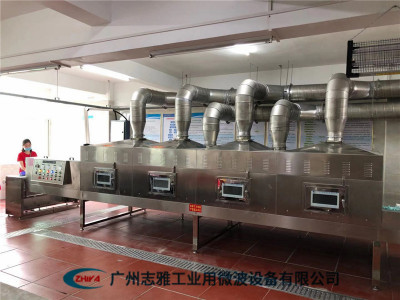 箱紙板微波干燥設備