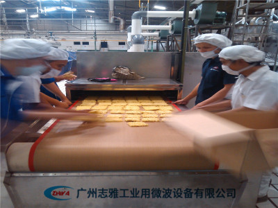 方便面微波膨化設(shè)備