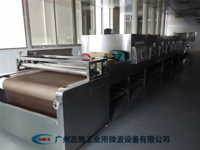 蘋果片微波膨化機