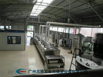 玉米顆粒微波膨化機(jī)