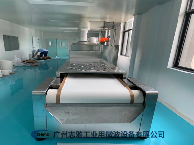 茶籽微波杀菌机