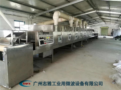  袋装食品微波杀菌设备