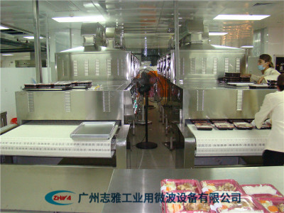 快餐盒饭加热设备