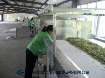 金银花微波杀青机