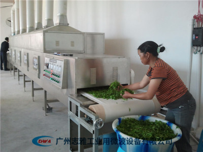 绿茶微波杀青机