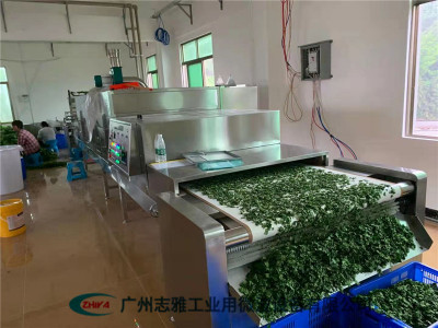 桑葉微波殺青機
