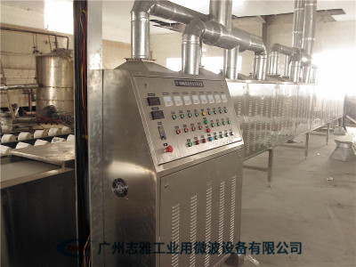 电池隔膜微波干燥机