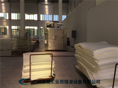 乳膠塑膠微波干燥設備