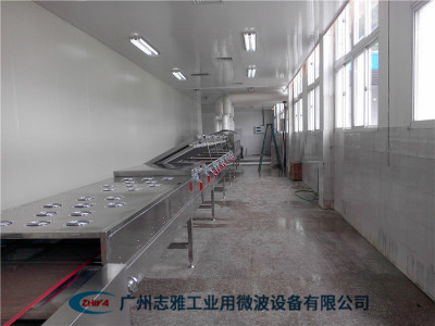  微波橡膠制品硫化設備