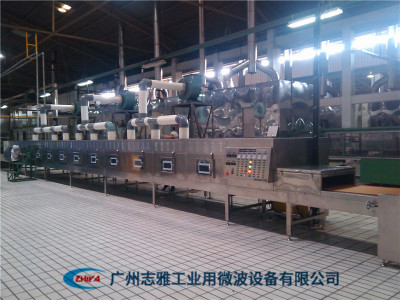 橡膠微波干燥設備