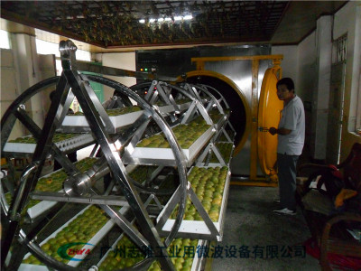  罗汉果微波真空干燥机