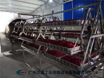 玫瑰花微波真空烘干设备