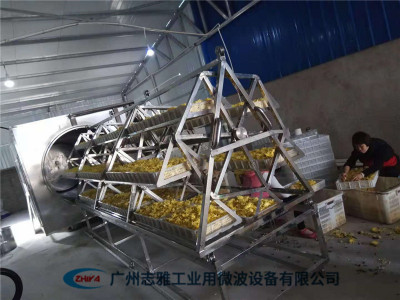  牡丹花微波真空干燥机