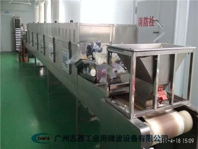 蛆虫干微波烘干设备