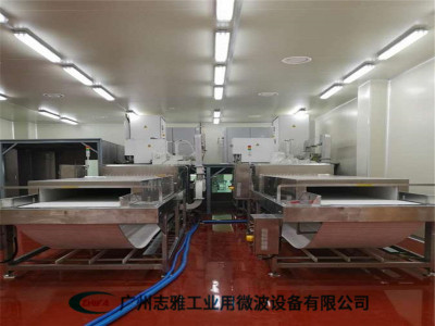 冻鸡肉微波解冻机