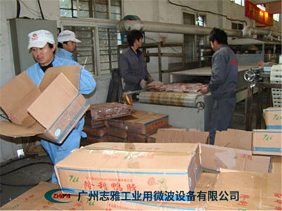 冻猪肉微波解冻机