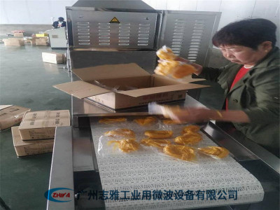 水产品微波解冻机