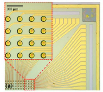 PZT压电薄膜在PMUT医学成像中的使用