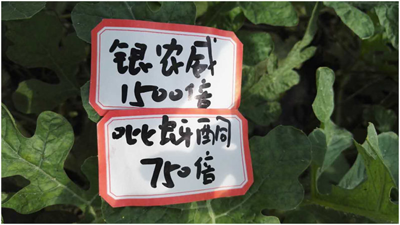 【探索】是什么讓黃蚜如此落?。?>
        </a>
        

    

</div><div   id=