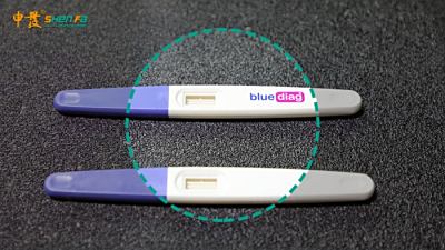 高速輸送平面數碼噴墨直印機