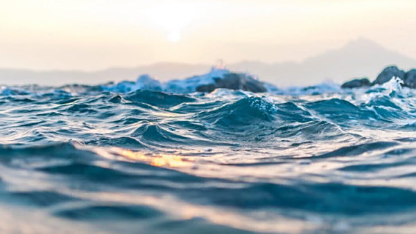 如何测试水中的浊度？