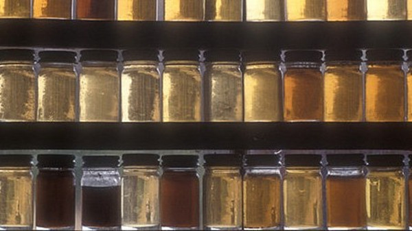 如何测量糖的颜色？