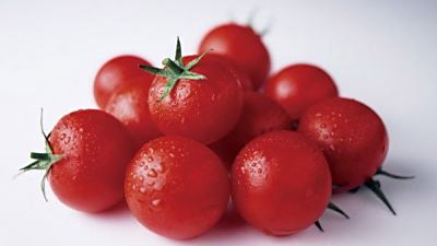 番茄红素指数更新软件后无法显示如何解决？