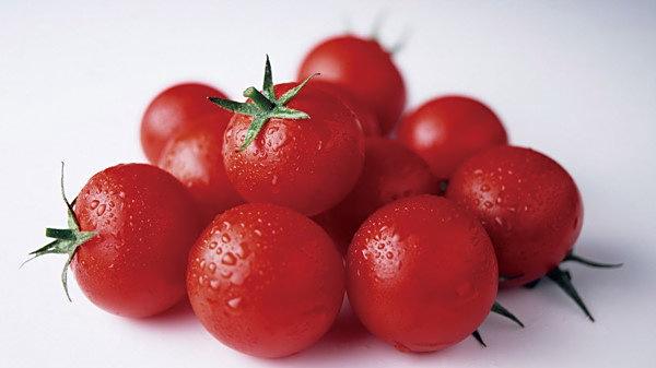 番茄红素指数更新软件后无法显示如何解决？