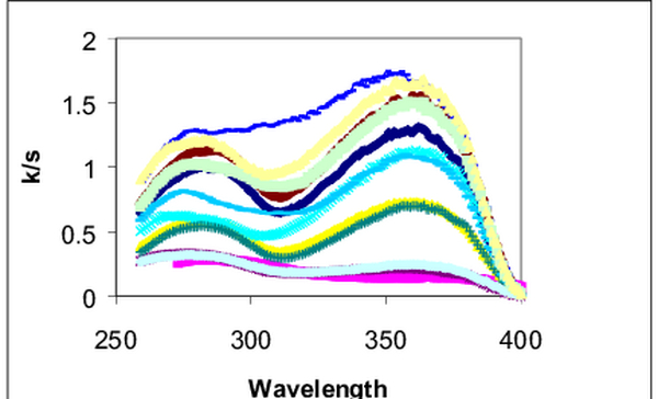 库贝尔卡蒙克理论