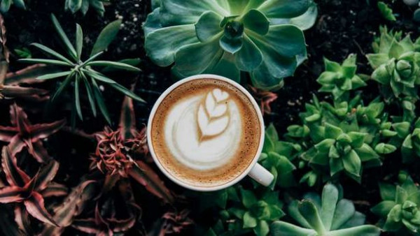 测量生咖啡豆颜色的五大注意事项