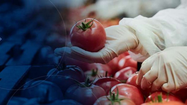 FDA 颜色法规终极指南