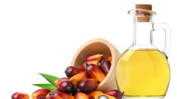 棕榈油制造商为何需要颜色和外观测量解决方案