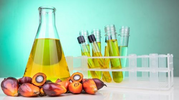 测量棕榈油颜色的更好方法