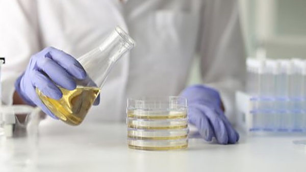 通过色度仪提升椰子油产品质量推动行业进步