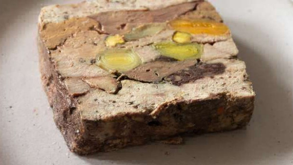 为什么测量蛋白质替代品的颜色很重要？