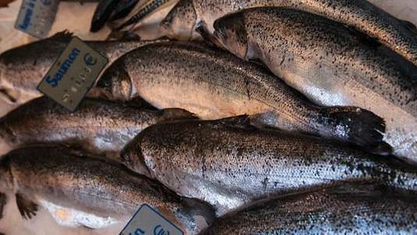 感官分析：利用可见分光光度法检测鱼类质量